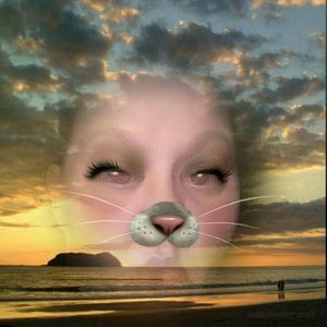 Meet your Posher, Bobbiejo